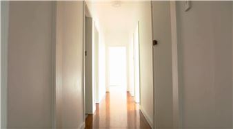 Tina Havelock Stevens: !!  - Art Gallery of New South Wales