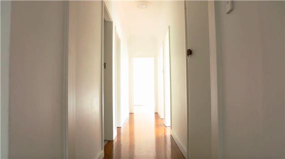 Tina Havelock Stevens: !!  - Art Gallery of New South Wales