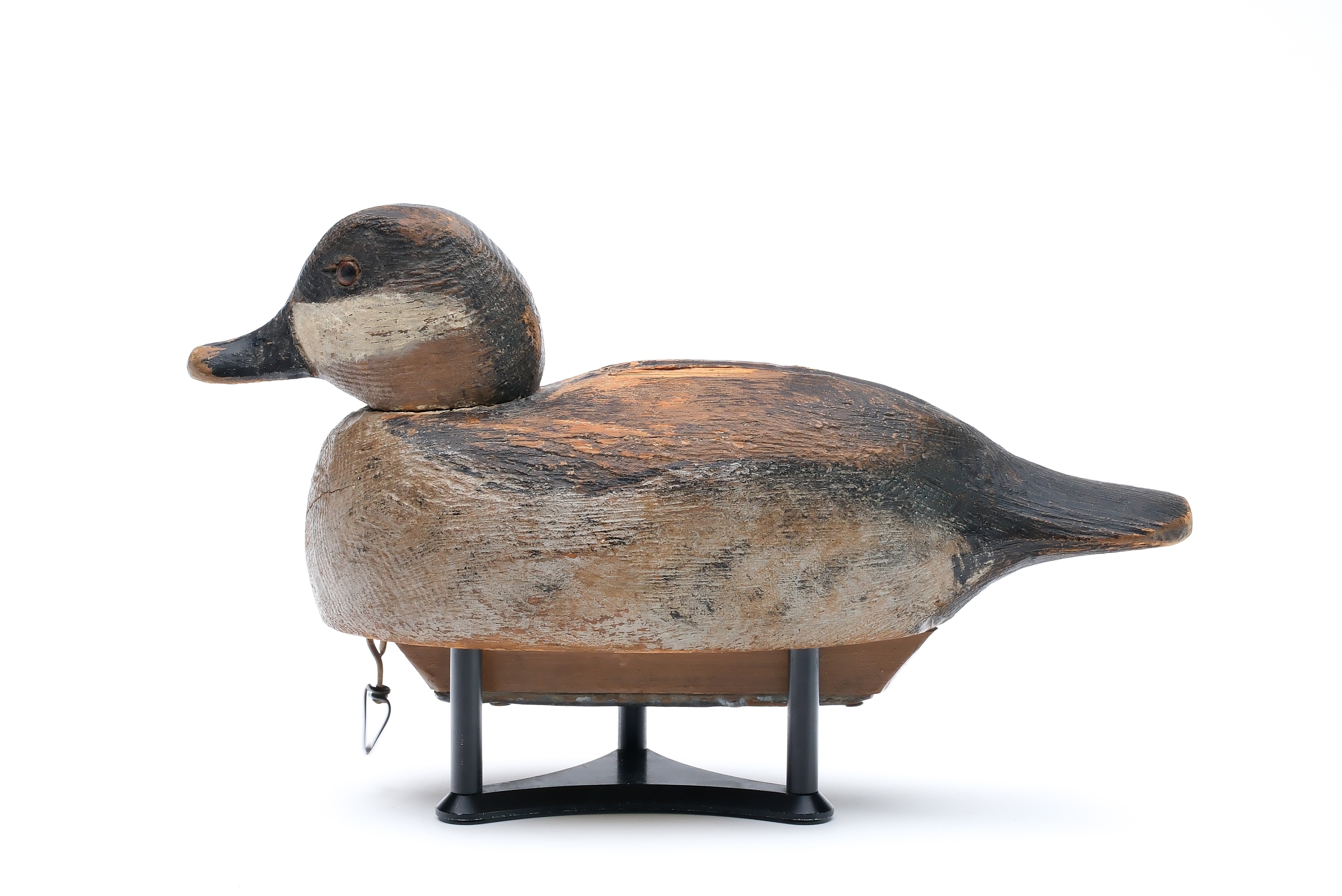 Frank Schmidt | Ruddy duck | MutualArt