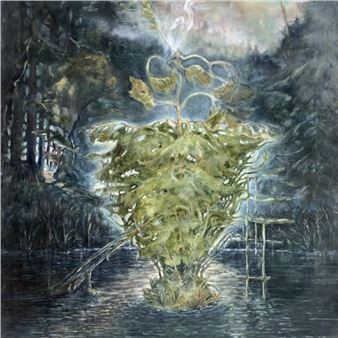 Understories: Dona Blakely - Morris Graves Museum of Art