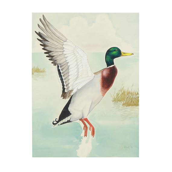 Duane Raver, Jr. | Flying Mallard (1950) | MutualArt