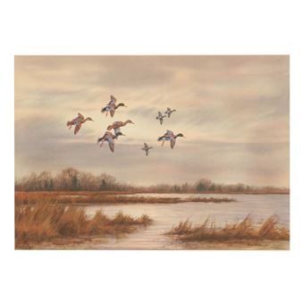 A flock of ducks flies over a marshy landscape at dusk.