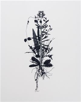 A Berrima Farmstead Contents Auction - Lawsons