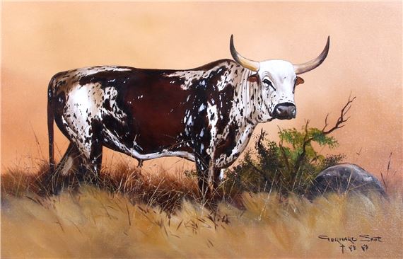 NGUNI BULL by Gerhard Smit