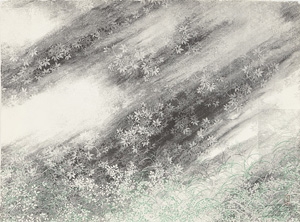 Artwork by Toshimitsu Imai, BEAUTIES OF NATURE (portfolio of 5), Made of Mixed Media Print