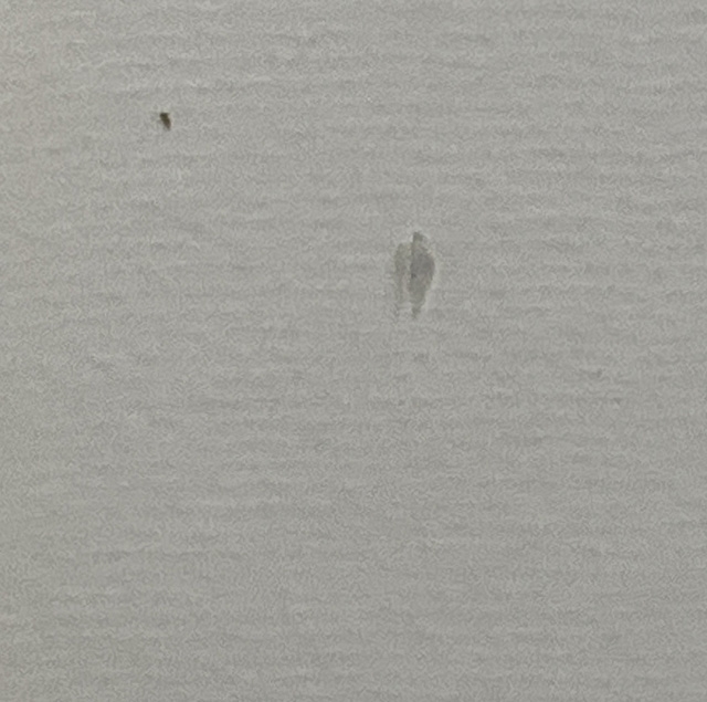 Artwork by Bernard Cathelin, Hortensias et Arums from NATURES MORTES, Made of Lithograph