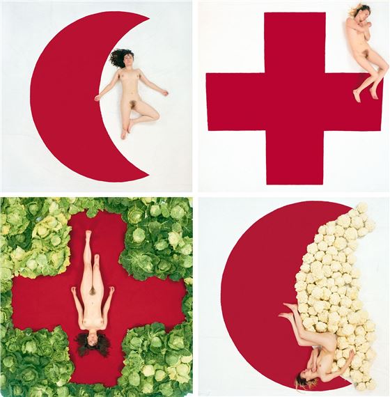 Więzy krwi by Katarzyna Kozyra, 1995/2017