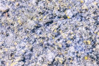 November 2025 Members’ Exhibit - Washington Printmakers Gallery