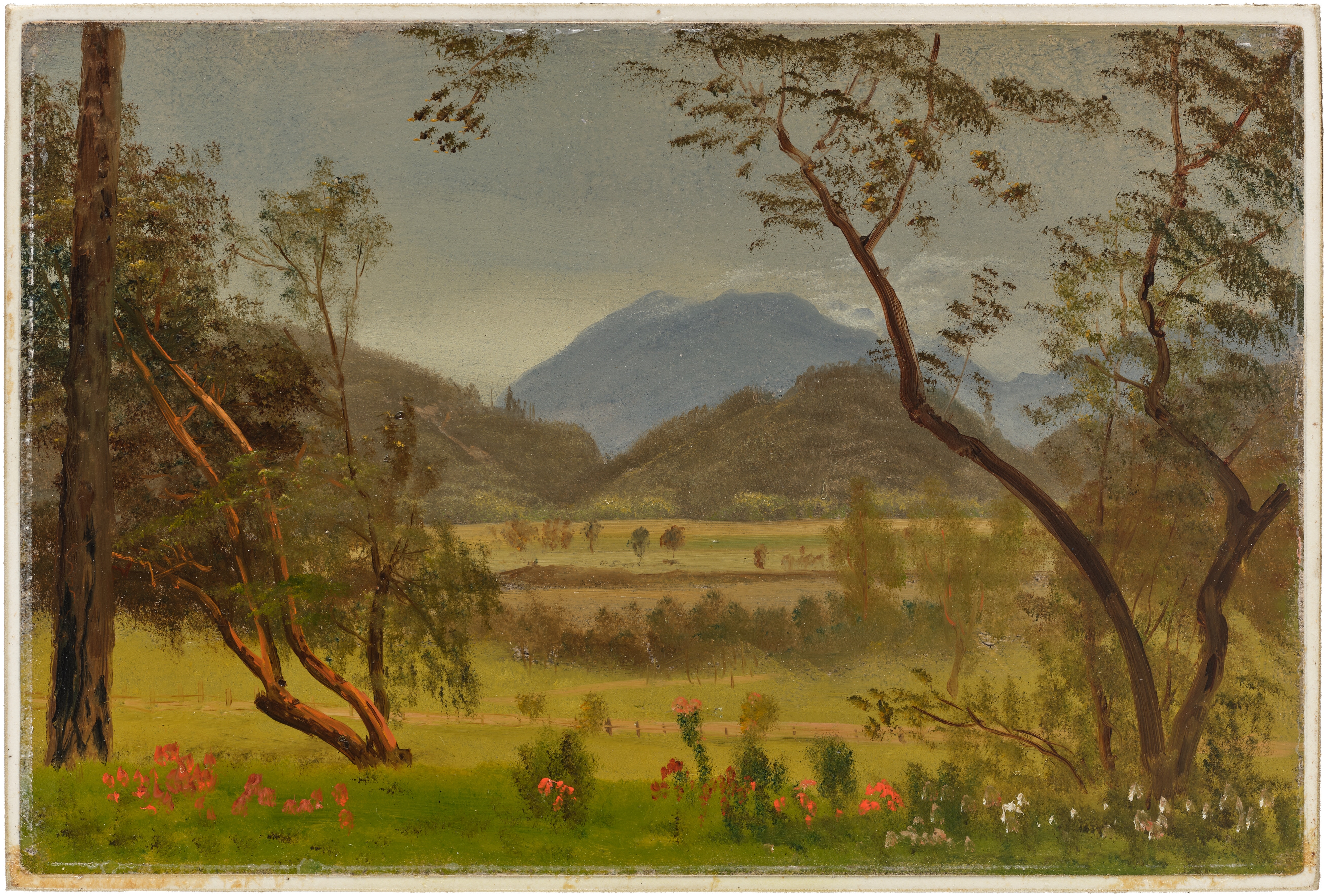 Artwork by Albert Bierstadt, Napa Valley, California, Made of oil on paper mounted to board