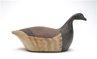 Plump body brant with slightly swimming root head