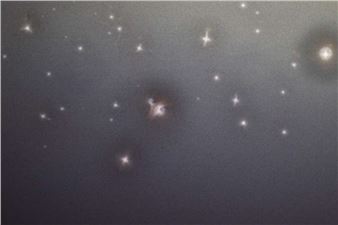 Contemporary Expressions #3 - MAO, Museum of Oriental Art