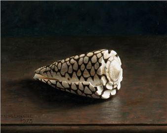 Rembrandt's shell Picture