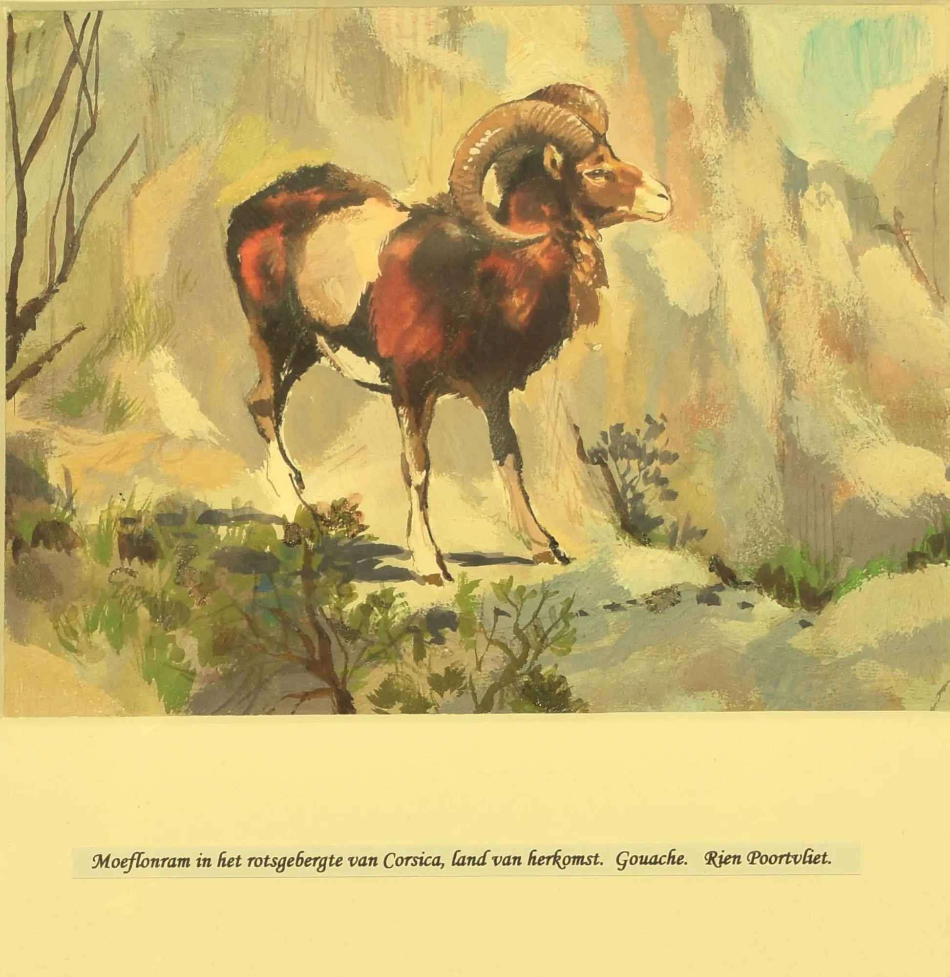 Rien Poortvliet | Mouflonram 1960 | MutualArt