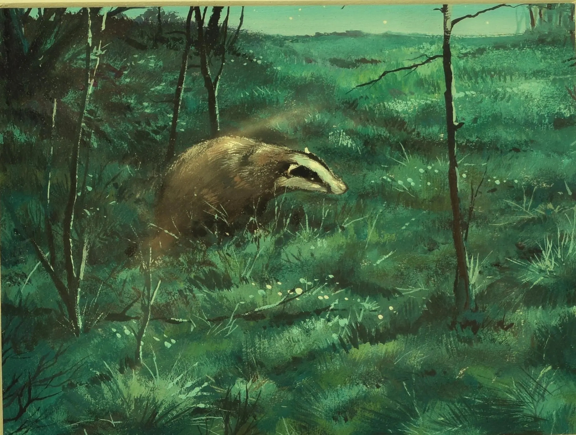 Rien Poortvliet | De das 1960 | MutualArt