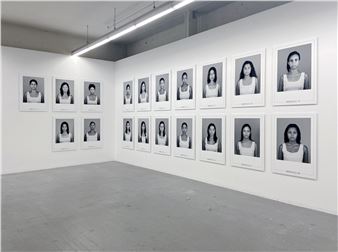 Gabrielle Goliath: Berenice - Goodman Gallery, New York