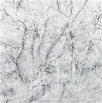 Earthly Delights - Ray Metzker