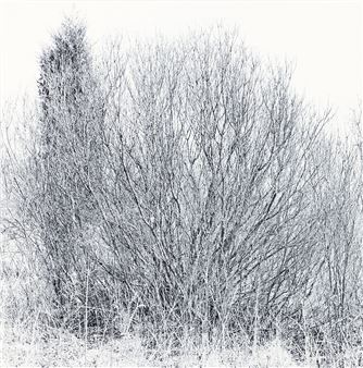 photograph from the Earthly Delights series - Ray Metzker