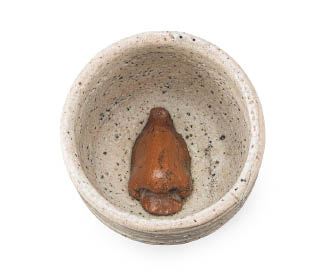 Nose bowl