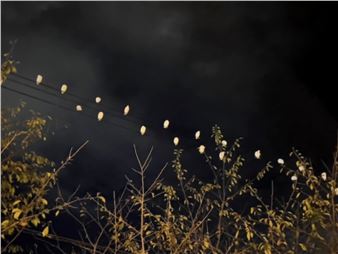 Su-Mei Tse: This is (not) a love song - Peter Blum Gallery