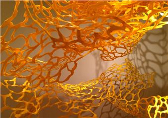 Jamey Grimes: Aster - Delaware Art Museum