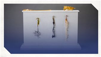 Andrea Spencer: Mimesis: The Natural World in Glass - Fort Wayne Museum of Art