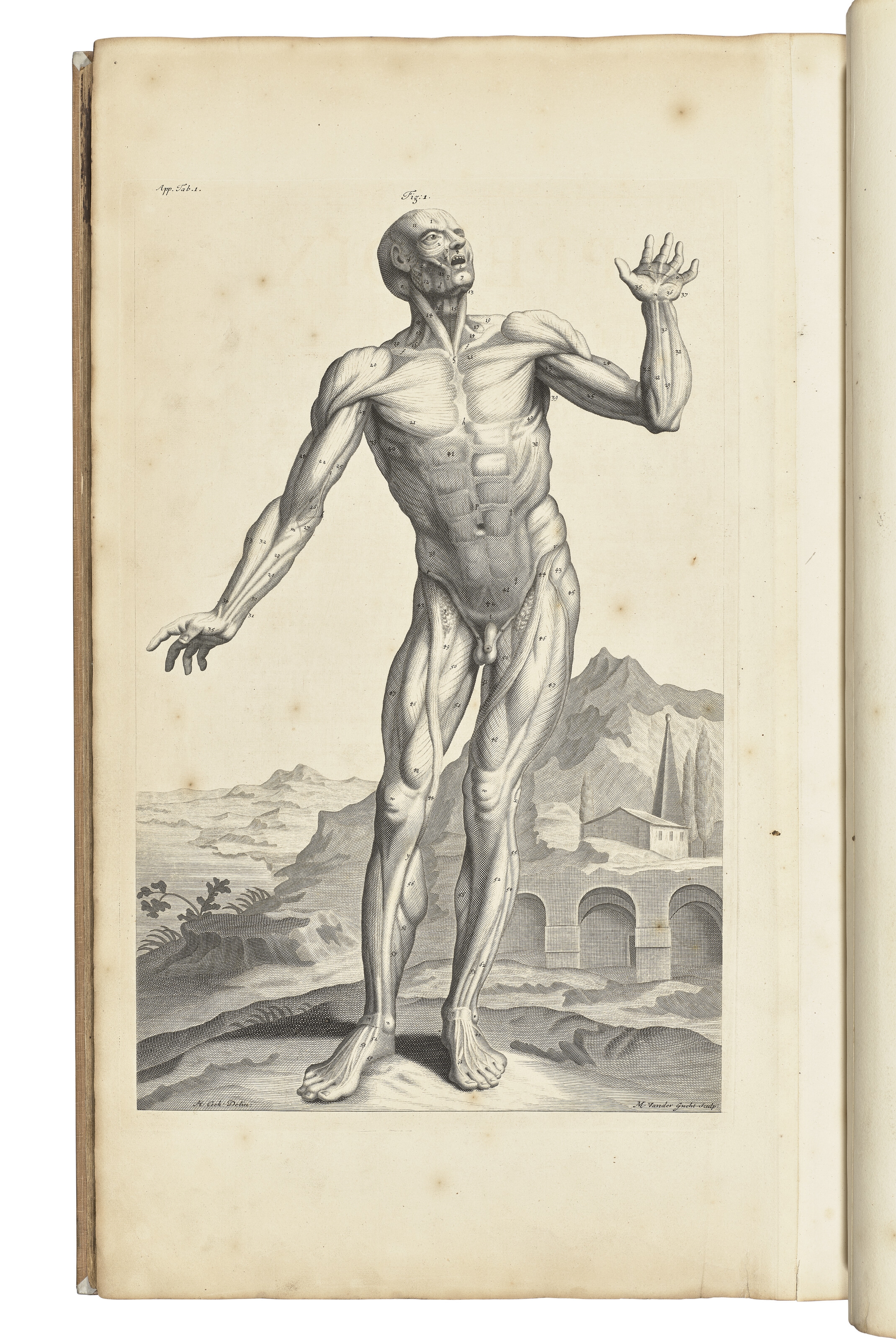 John Closterman | The anatomy of humane bodies: with figures drawn ...