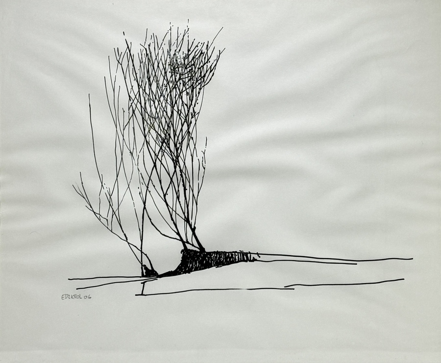 Edzard Krol | boomlandschap met ranke takken (2006) | MutualArt