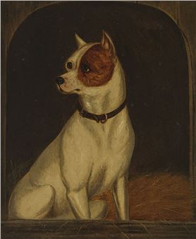 A seated dog with a brown patch on its head, wearing a collar and sitting in front of a dark arched opening.