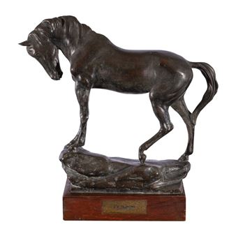 Bronze Horse Picture
