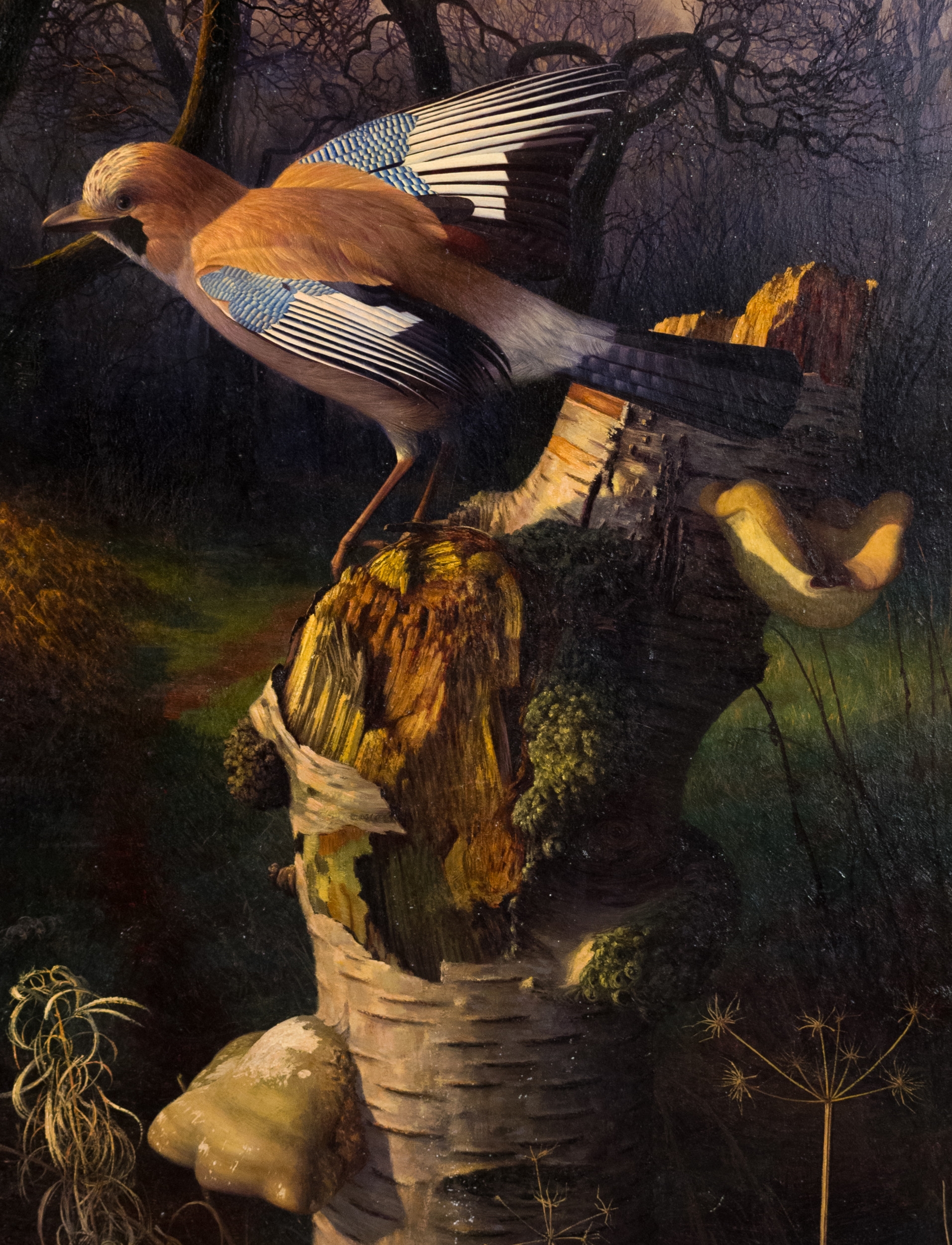 Raymond Booth | Jay (20) | MutualArt