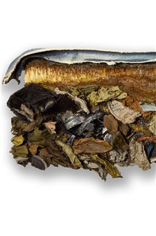 Chicago Artist Coalition: The Language We Create - Epiphany Center for the Arts