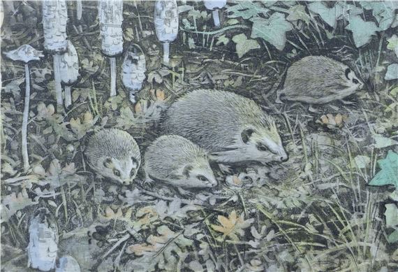 Peter Partington | Hedgehog | MutualArt