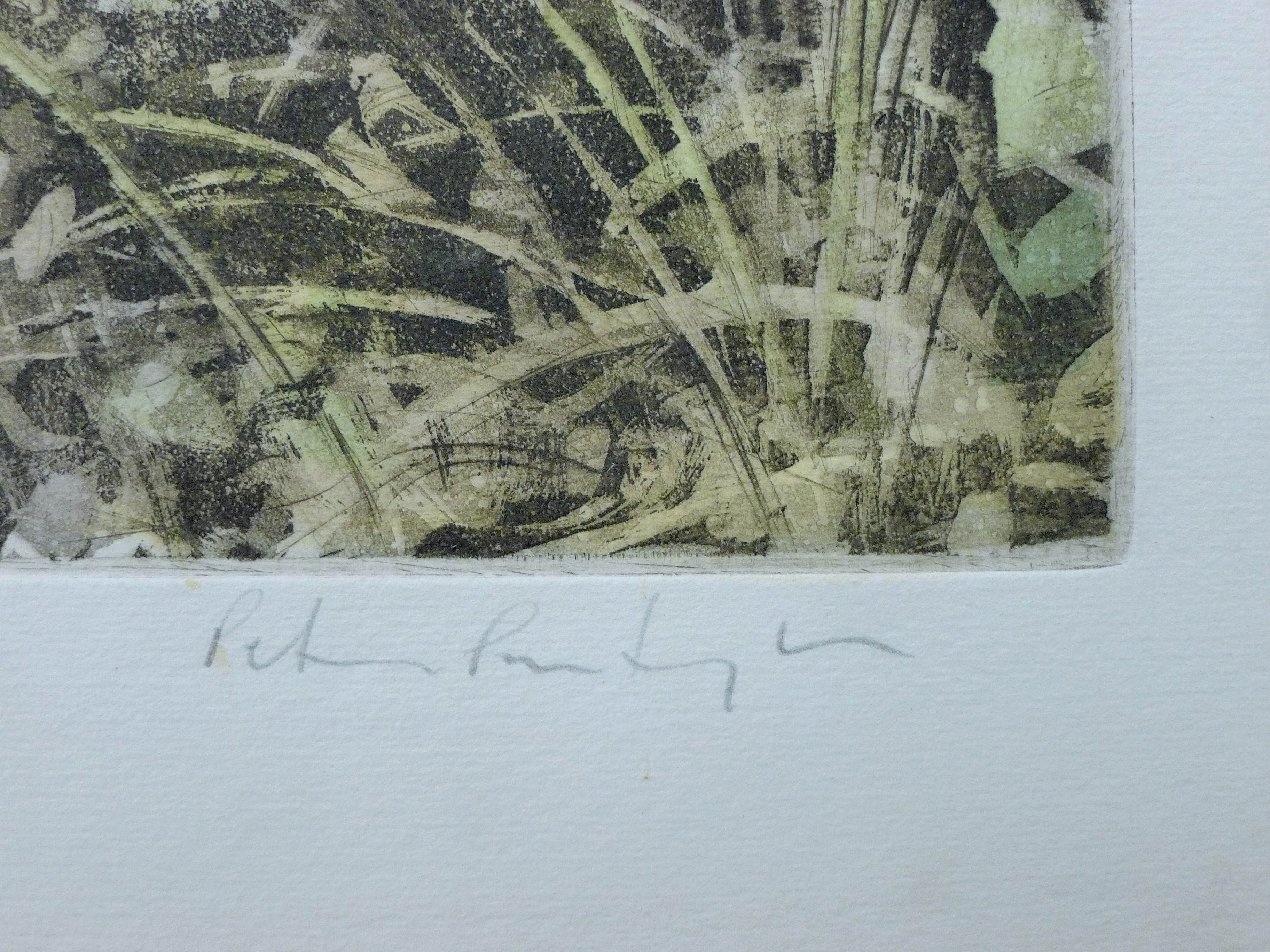 Peter Partington | Hedgehog | MutualArt