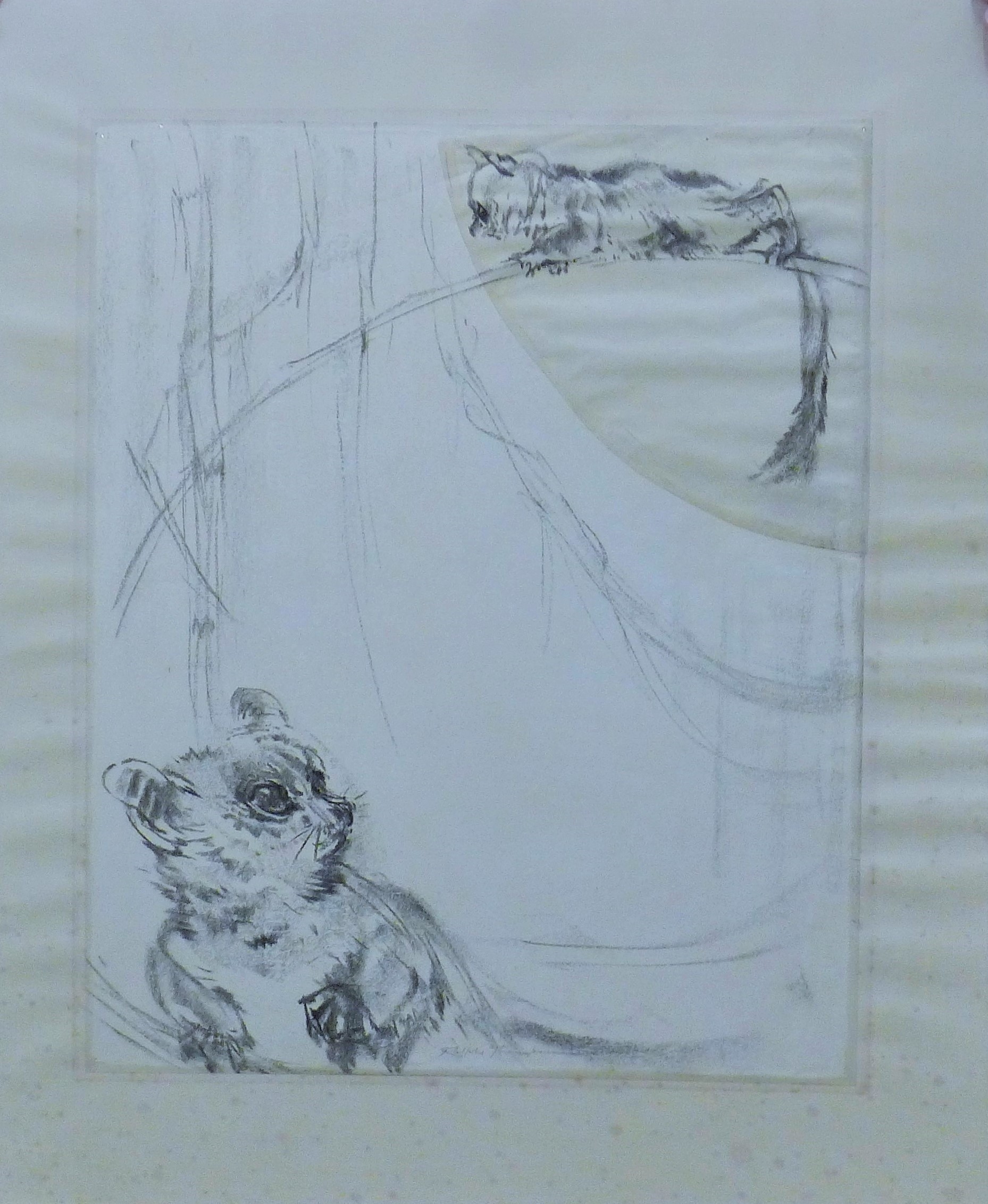 Ralph Thompson | Bush Babies | MutualArt