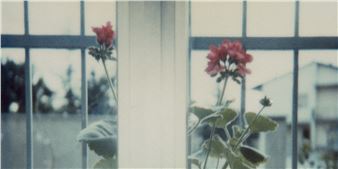 Luigi Ghirri: Polaroid '79-'83 - Centro Pecci