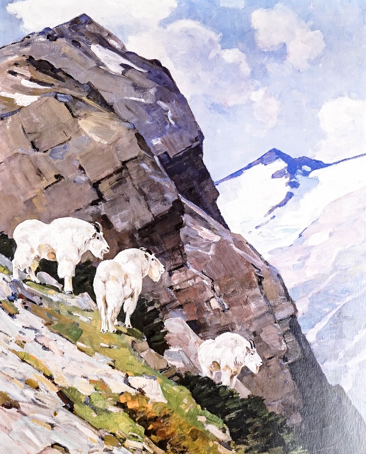 Carl Clemens Moritz Rungius | Carl Rungius Estate Print & Poster ...