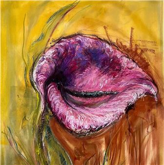 Oswaldo Maciá: Migratory Movements