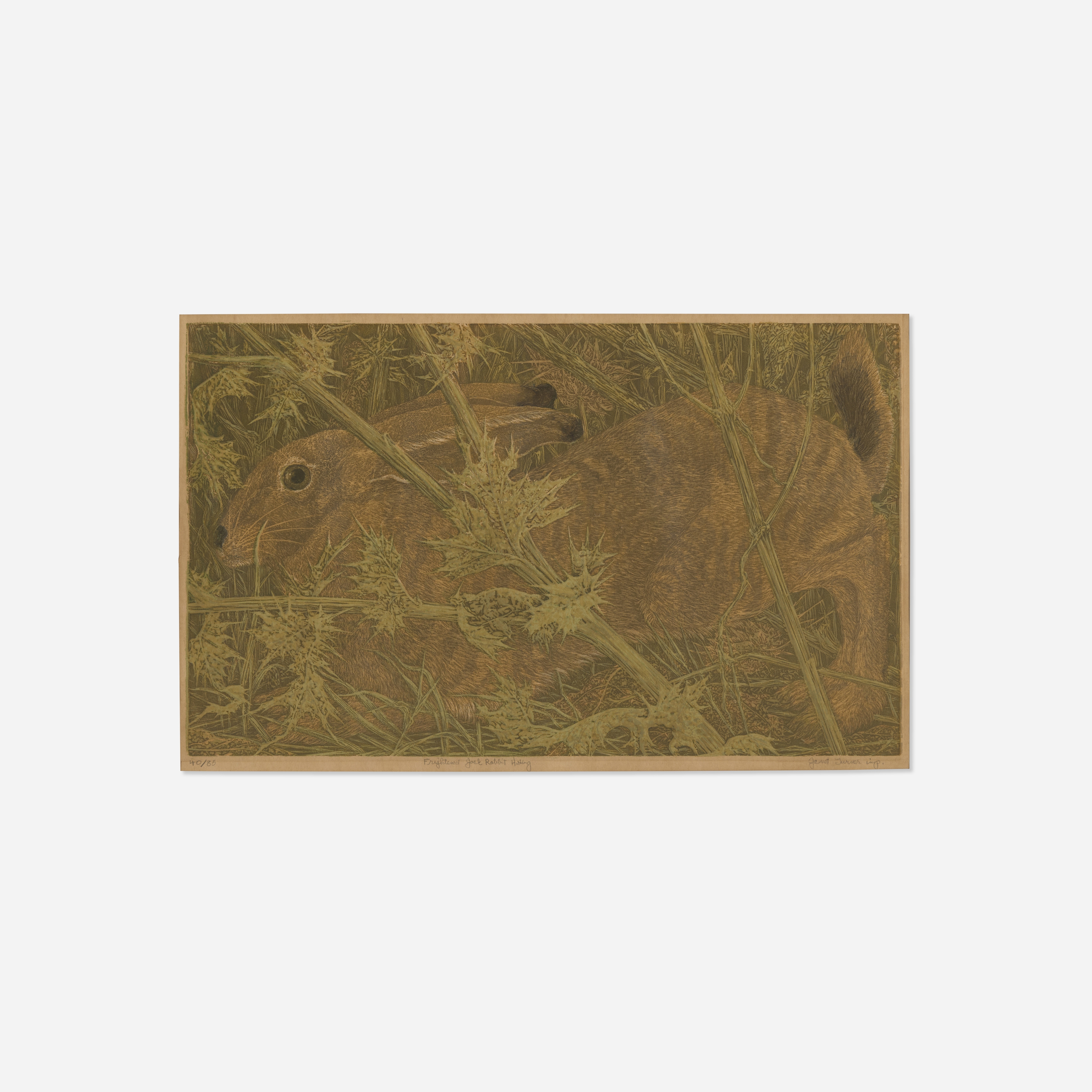 Janet Turner | Frightened Jack Rabbit Hiding (1968) | MutualArt