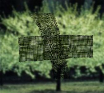 Rose Lowder and Kazimiera Zimblytė: Eyes and Fields - MO Museum