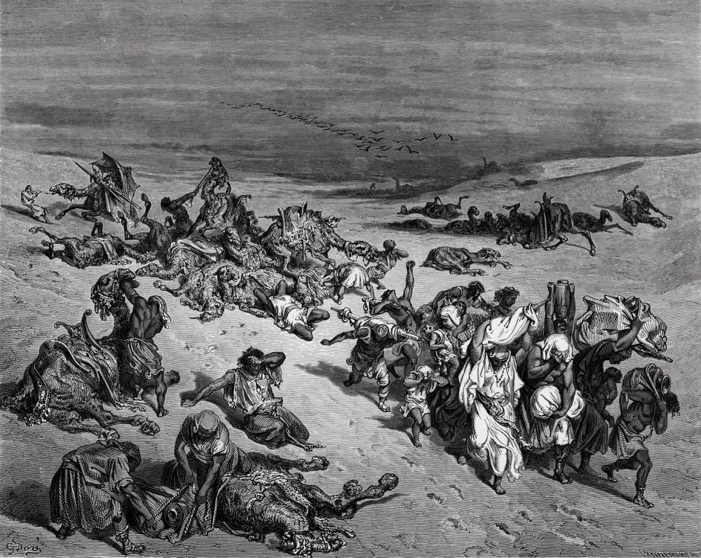 Gustave Doré | The Murrain of Beasts (1880) | MutualArt