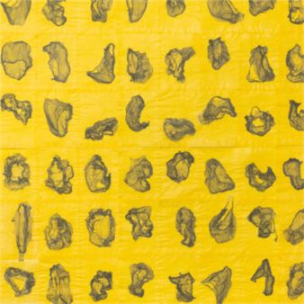 Women of the Pacific Northwest - Asheville Art Museum