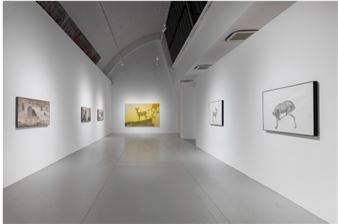 Tang Hui: Forms and Scenery - BTAP - Beijing Tokyo Art Projects