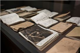 Stephan Vanfleteren unveils Transcripts of a Sea at MSK Ghent after a 366-day ocean quest