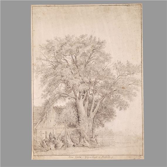 Johann Georg Rosenberg | Eine Eiche (1797) | MutualArt