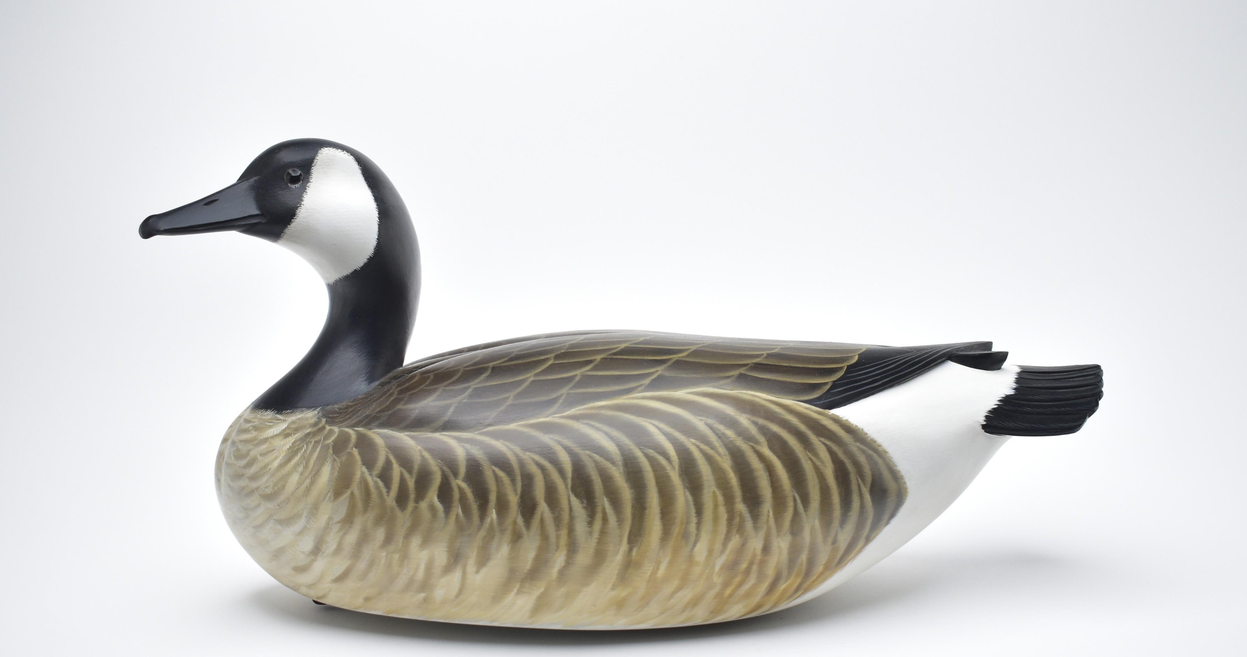 George Strunk | Canada goose | MutualArt