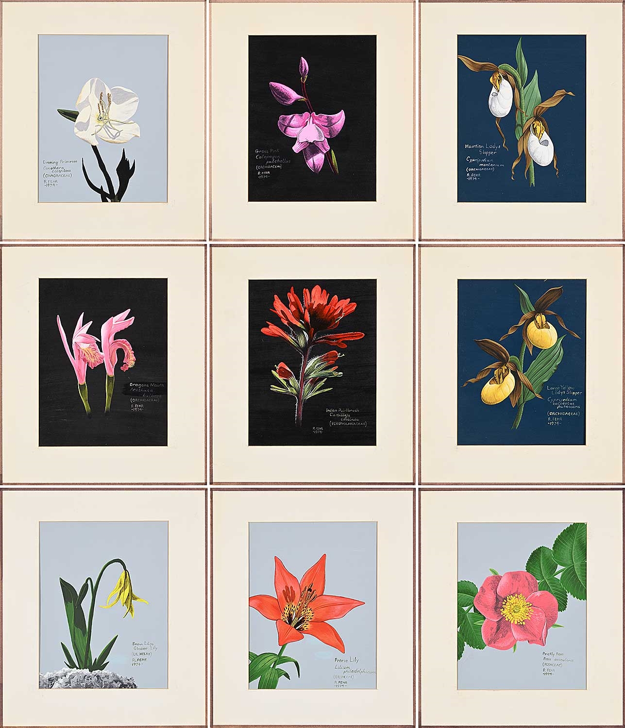 Randy Fehr | Collection of Nine Flower Paintings (1974) | MutualArt