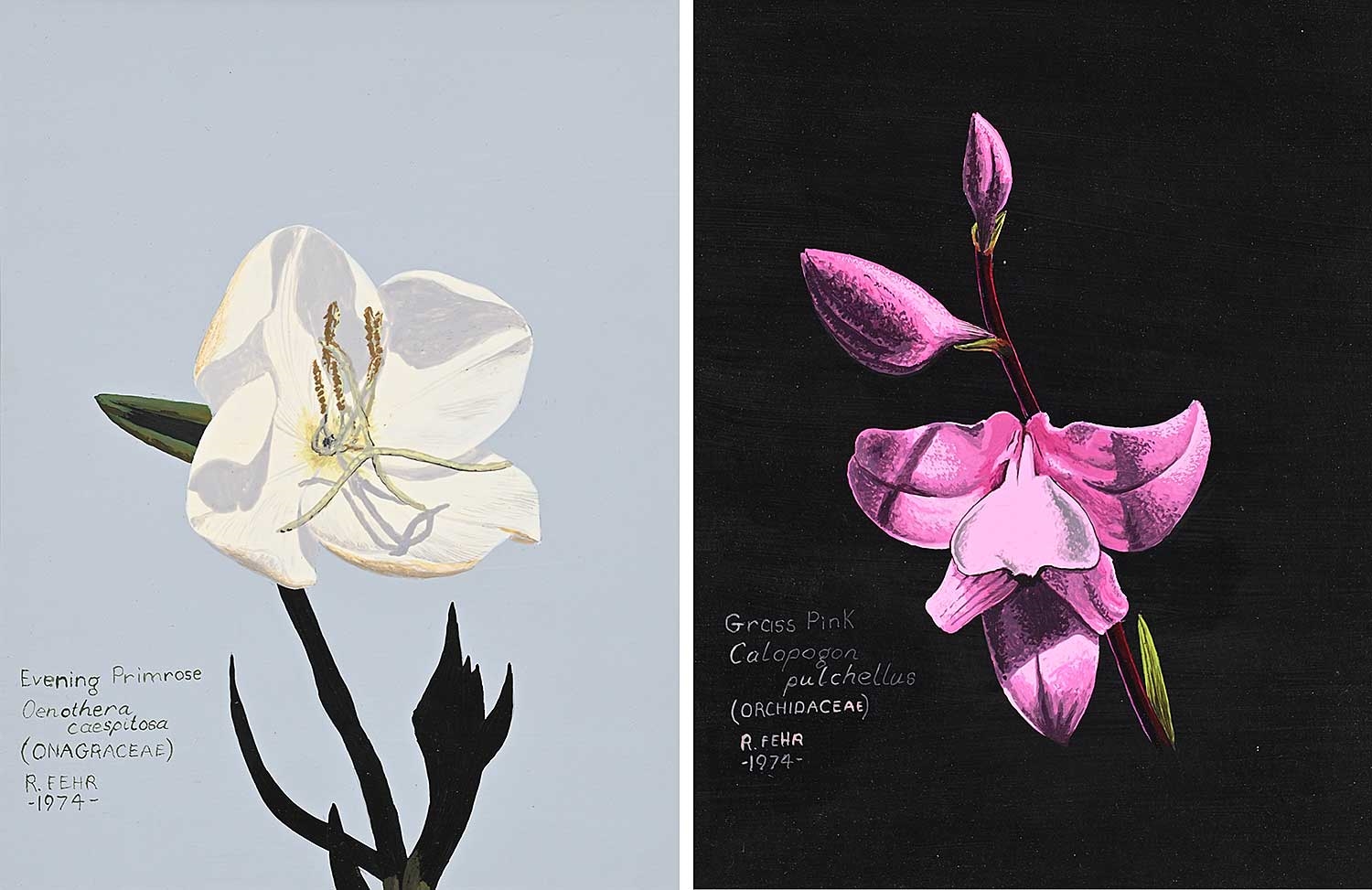 Randy Fehr | Collection of Nine Flower Paintings (1974) | MutualArt