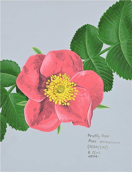Randy Fehr | Collection of Nine Flower Paintings (1974) | MutualArt