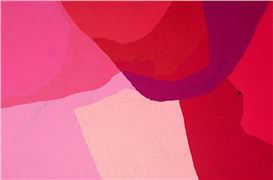 South Australian artists in focus as AGSA announces 2026 exhibition program