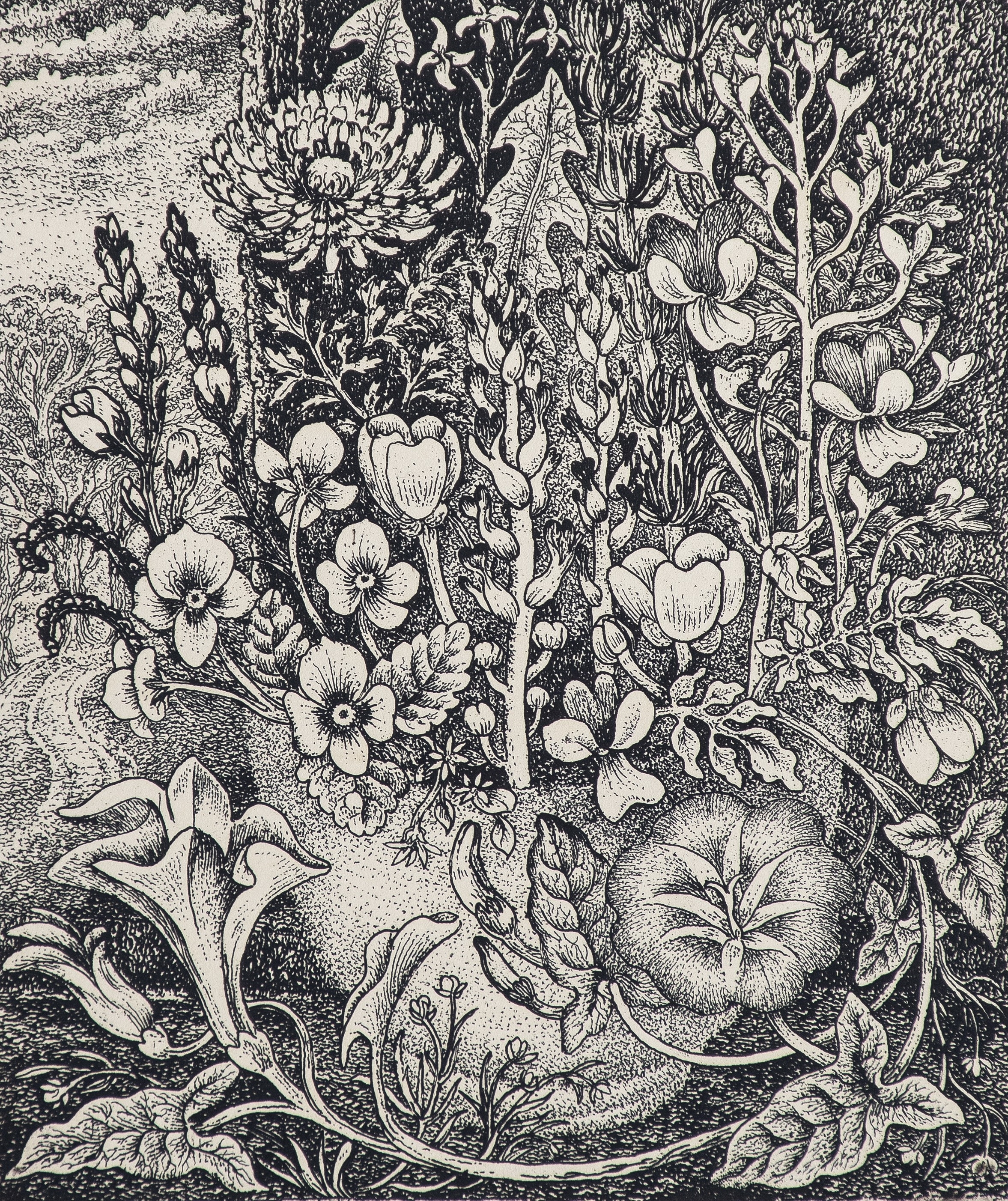 Robin Tanner | The Memorial Portfolio (1989) | MutualArt